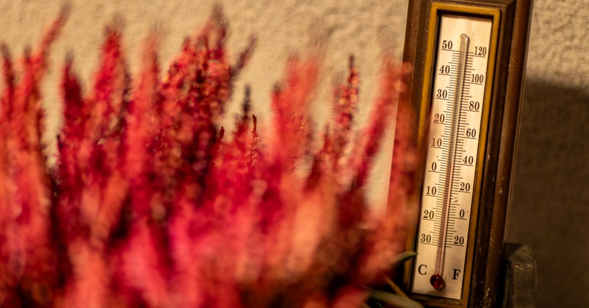 Thermomètre en extérieur sous une lumière chaude